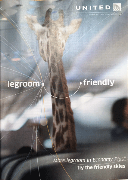 giraffe-legroom